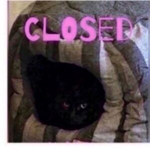 CLOSED 🐈⬛Pillows pick 5